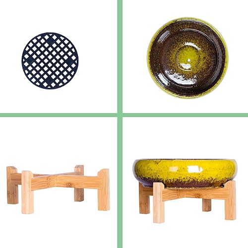 Miniatura 10 de ARTKETTY Macetas para suculentas con drenaje, maceta grande para suculentas con soporte y platillo, macetas de bonsái poco profundas, maceta de