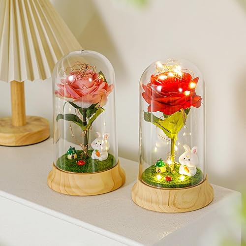 Miniatura 7 de Levvohd Rosas rojas, regalos de cumpleaños para mamá de parte de hija, rosa de la bella y la bestia, rosa iluminada en cúpula para su novia, mamá,