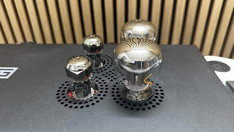 Amazon.co.jp: PSVANE サミットシリーズ 6SN7 / CV181 アンプ用真空管
