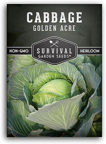 Survival Garden Seeds - Semilla de col verde Golden Acres - 2 paquetes con instrucciones para plantar y cultivar repollos de color amarillo y blanco
