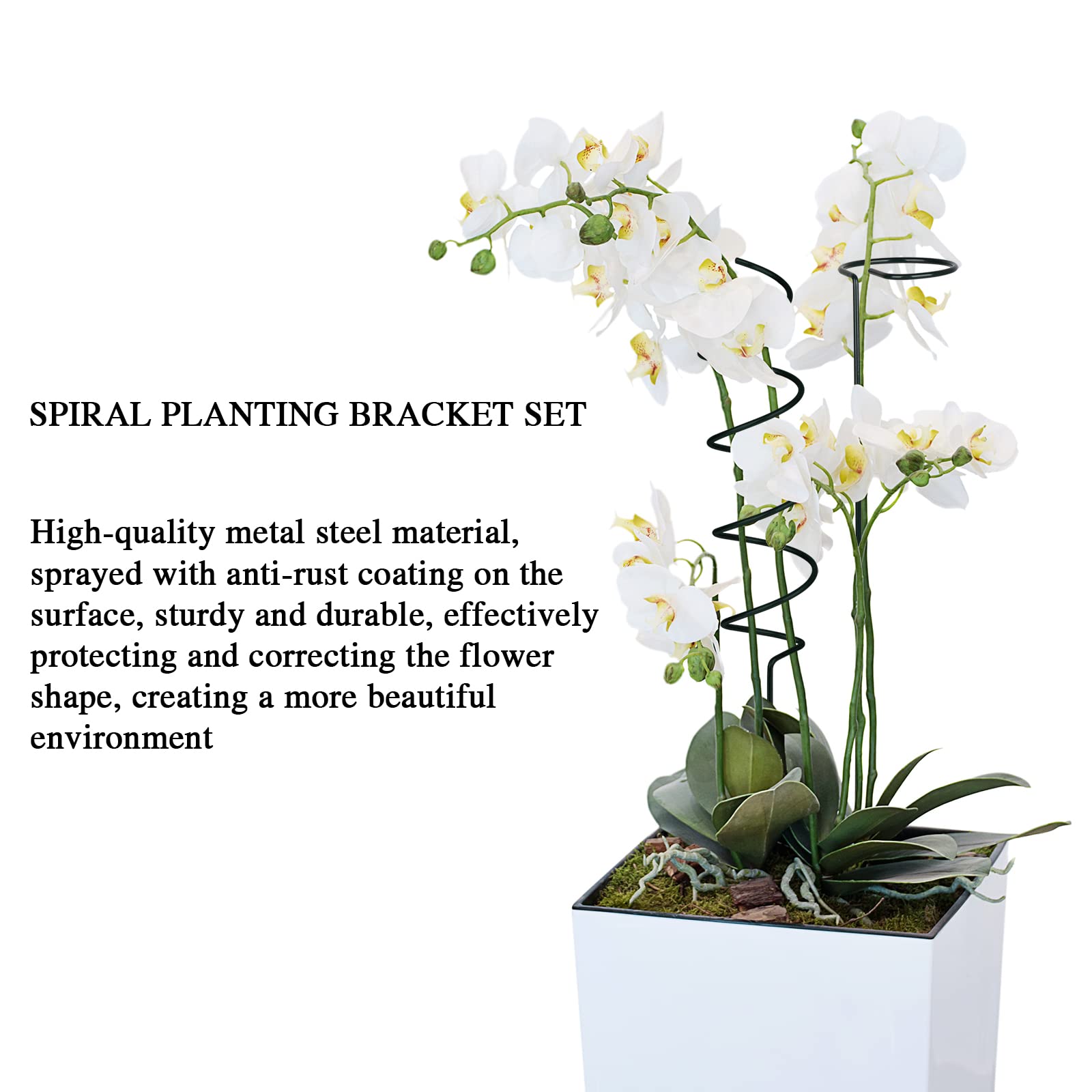 Supporto Per Piante Con Pali E Nastro - 12 Pezzi Per Fiori Fragili Come Rose, Peonie E Amarilli - Foto 2