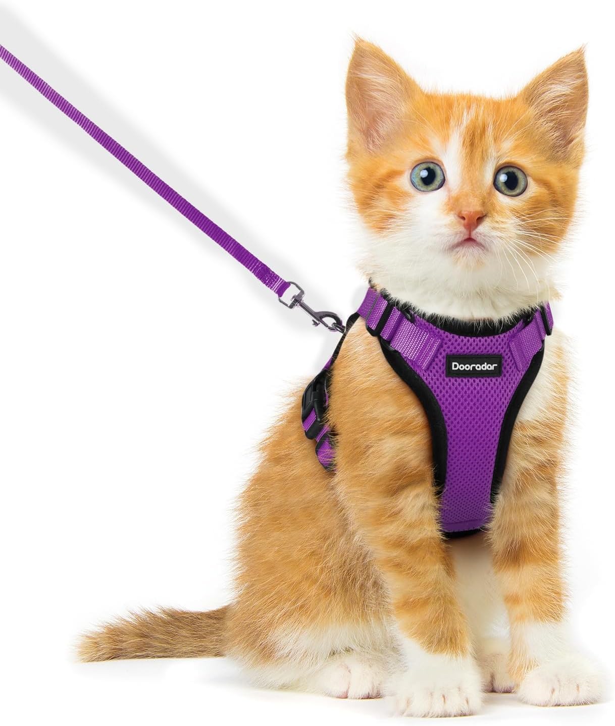 Harnais pour chat avec laisse pour promenade en toute sécurité