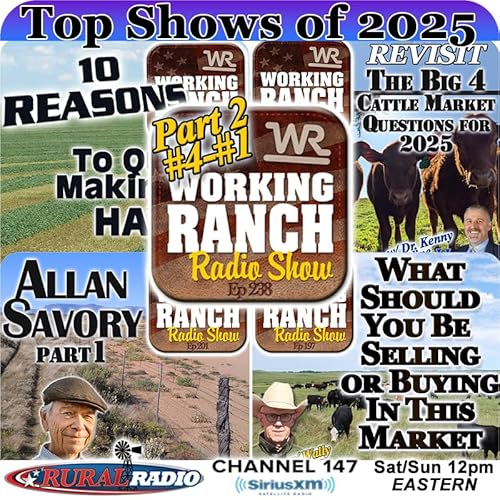 Ep 238: Top Shows of 2025 Part 2: Highlights from #4&ndash;#1