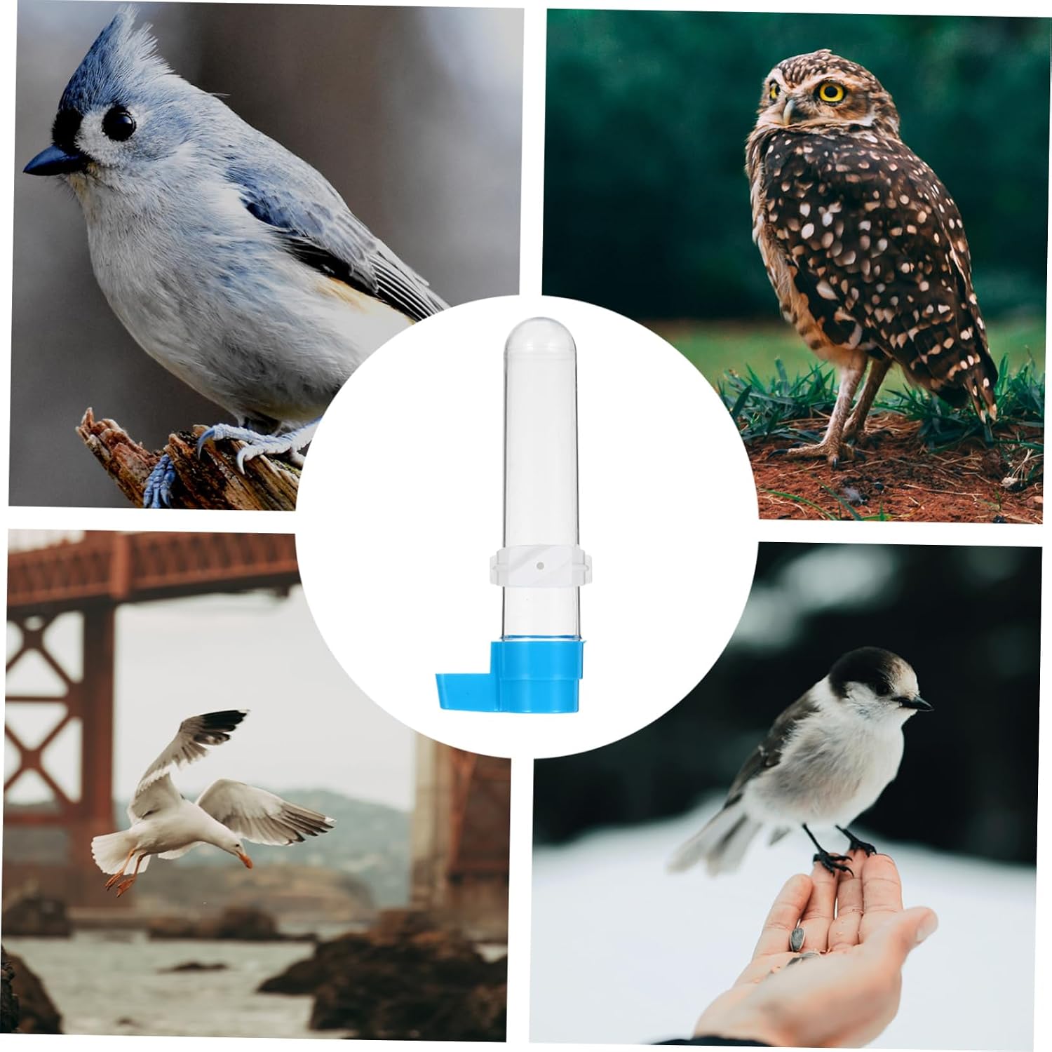 VICASKY 5pcs Automatic Parrot Water Feeder Transparent Drinking Bottle for Birds Easy to Install Pet Drinking Tool for Bird Cages and Accessories image 5