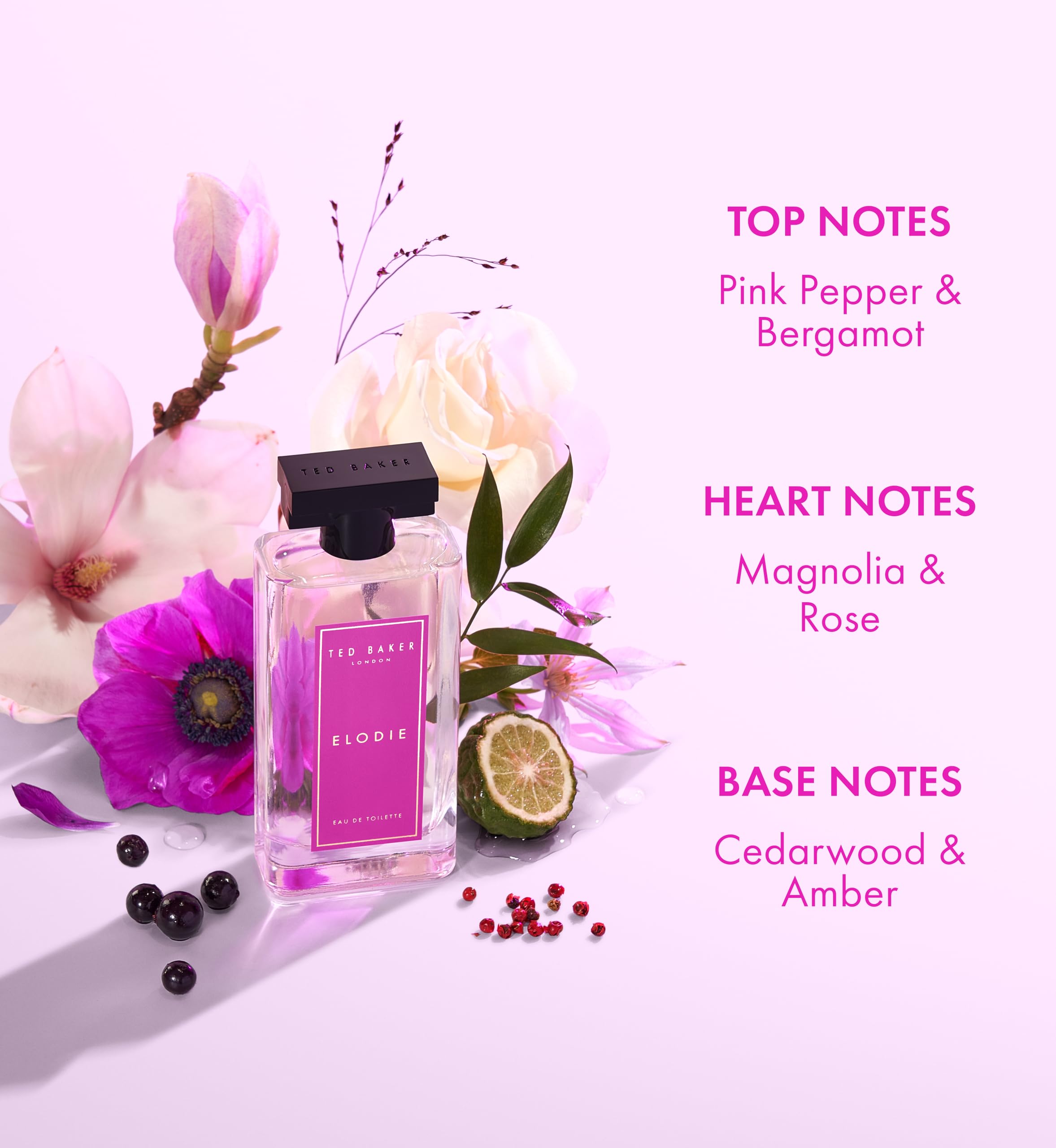 Amazon.com : Ted Baker Miniatures Handbag Gift Set for Women, 3 x