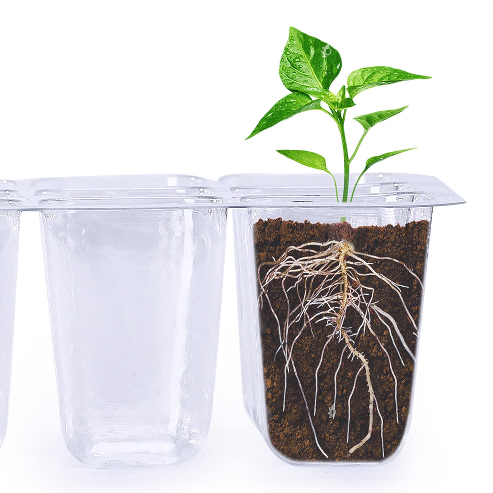 10 Pièces Mini Serre pour Plantes,Interieur Serre de Jardin pour Semis avec Évents, Bac à Semis Plateaux à graines 12 Trous pour la Germination des graines et la pépinière