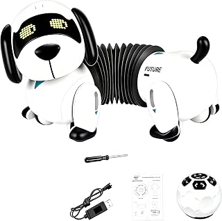 fisca RC Roboter Hund, Tanzt Läuft mit Musik Spielzeug Kinder 6–10 Jahre