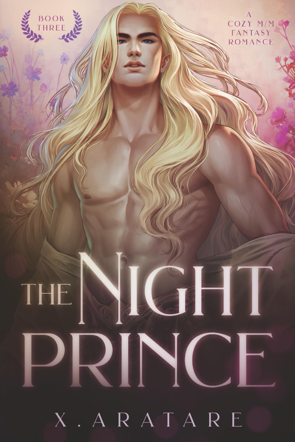 The Night Prince (Book 3): An M/M Cozy Fantasy Romance