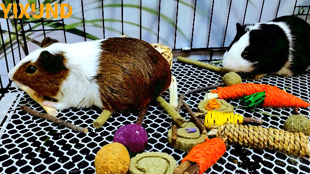 Amazon.com : YIXUND Rabbit Toys Bunny Toys 26Pcs Natural