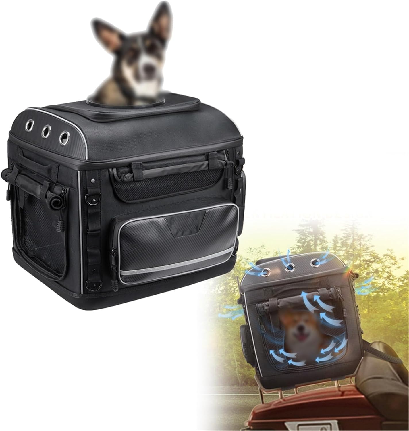 Borsa Per Animali Domestici Da Moto, Trasportino Per Cani Con Portapacchi Per Sedile Passeggero Per Shadow