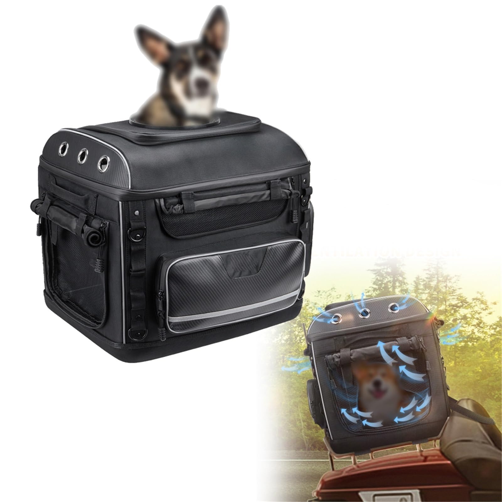 Borsa Per Animali Domestici Da Moto, Trasportino Per Cani Con Portapacchi Per Sedile Passeggero Per Kawasaki
