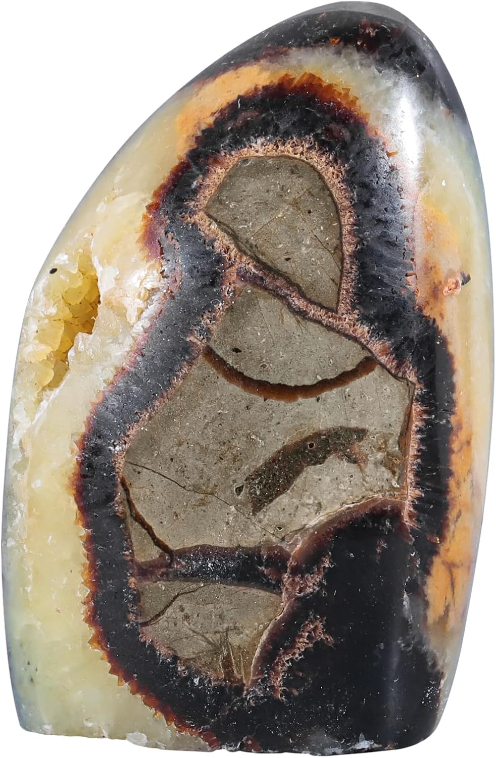 mookaitedecor Natural Septarian Dragon Crystal Cluster Geode, Self-Standing Mineral Specimen Stone Collection for Home Office Decoration, 1.1-1.32 LB