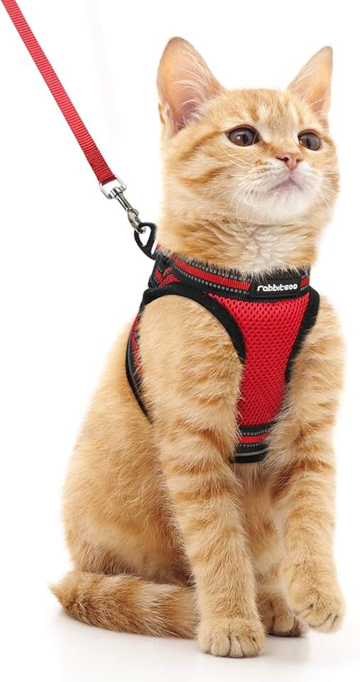 cat harness