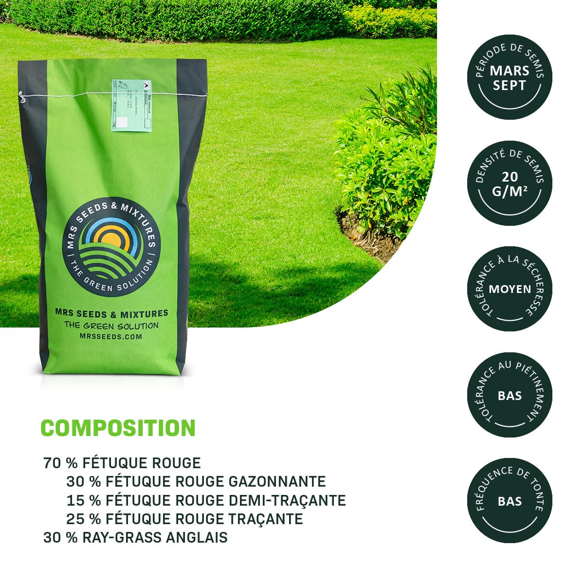 MRS Green Perfection Semences de gazon d'ornement 1 kg pour 50 m²