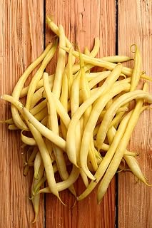 30 Seeds Kentucky Wonder Yellow Wax Bean Seeds (Pole) Butter Beans Stringless Seed