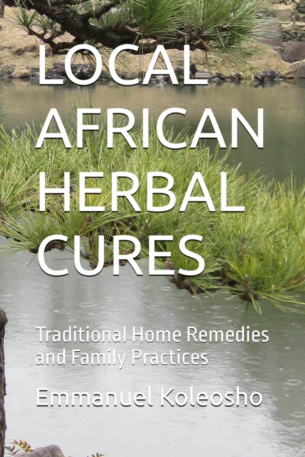 LOCAL AFRICAN HERBAL CURES: Traditional Home Remedies and Family Practices