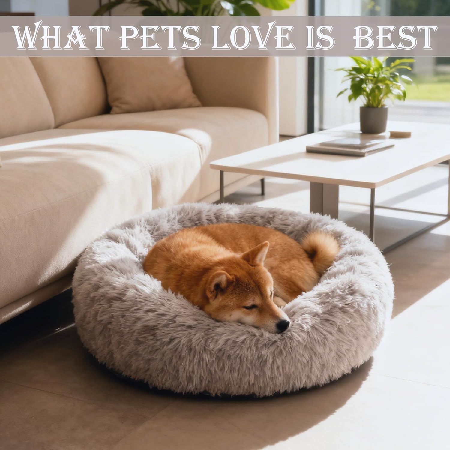 Washable Dog & Cat Bed for Ultra Large Small Medium Size Pet, Calming Donut Round Cute Warming Mat House Supply Indoor, 8 Sized Deal Necessity Essential Furniture for Boy Girl Puppy Kitten kitty