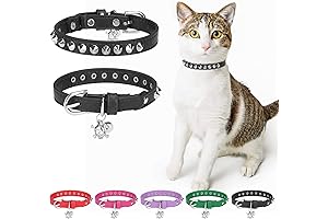 Black Leather Cat Collar with Bell and Safety Elastic Belt
