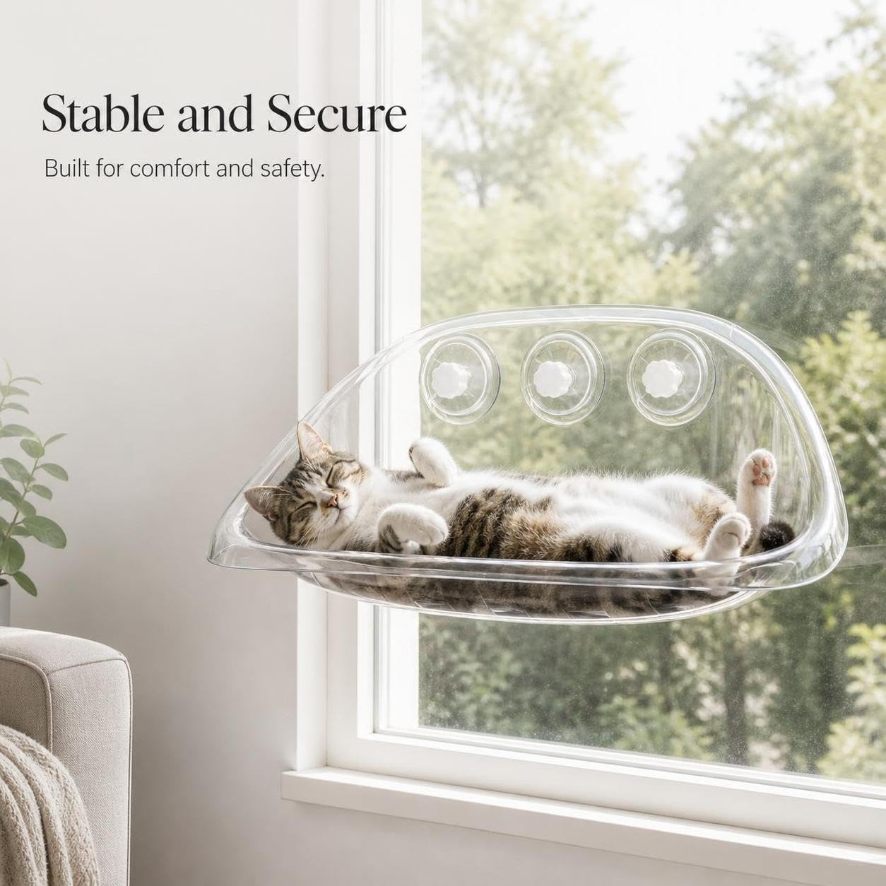Perchoir Fenêtre Chat Transparent, Plastique - Facile à Nettoyer - hamac pour Chat - 52x32x21 cm - Caoutchouc - pour Les Chats