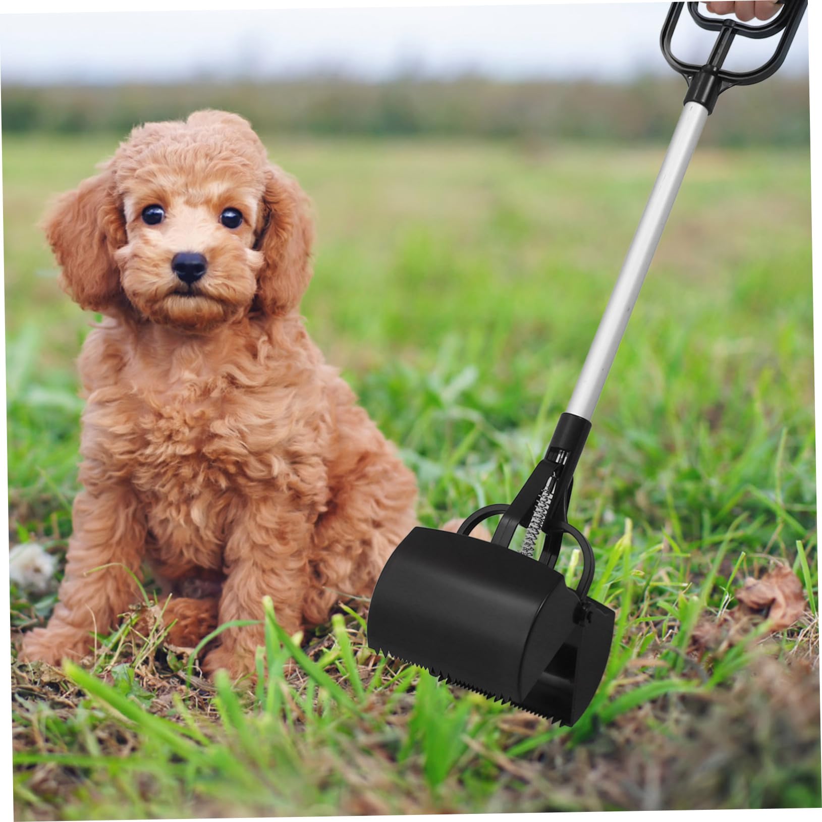 GALPADA Pelle à Crottes pour Chiens Facile à Transporter en Plastique, Ramasse-crottes d'animaux pour Déchets Extérieurs, Protège Votre Corps Lors du Nettoyage Couleur Aléatoire