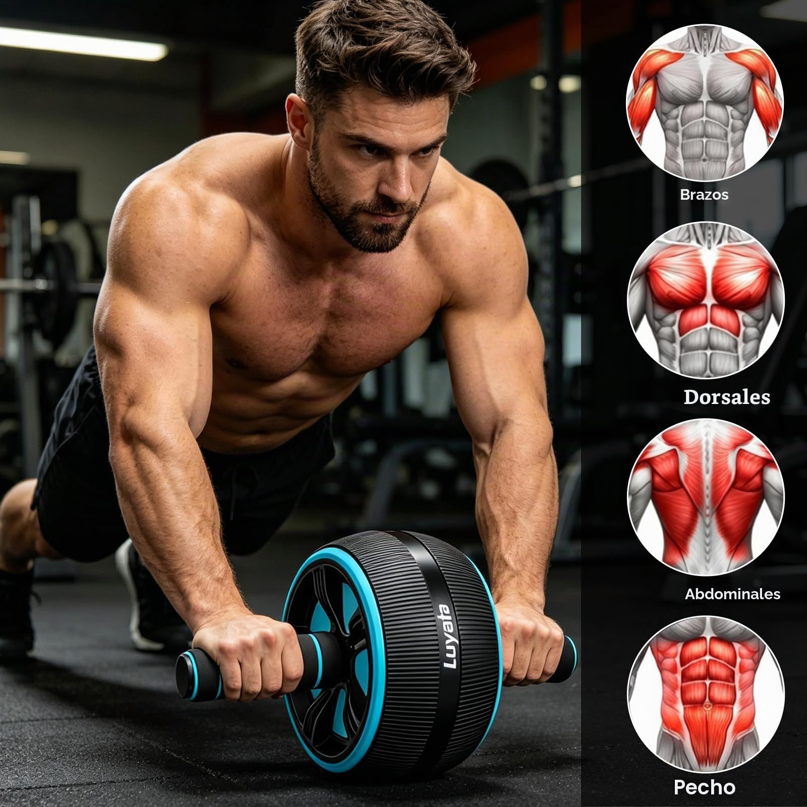 Rueda de abdominales, kit de ruedas de ejercicio 10 en 1 con bandas de resistencia, alfombrilla de rodilla, cuerda de saltar, barra de flexiones, equipo de gimnasio en casa para hombres y mujeres,