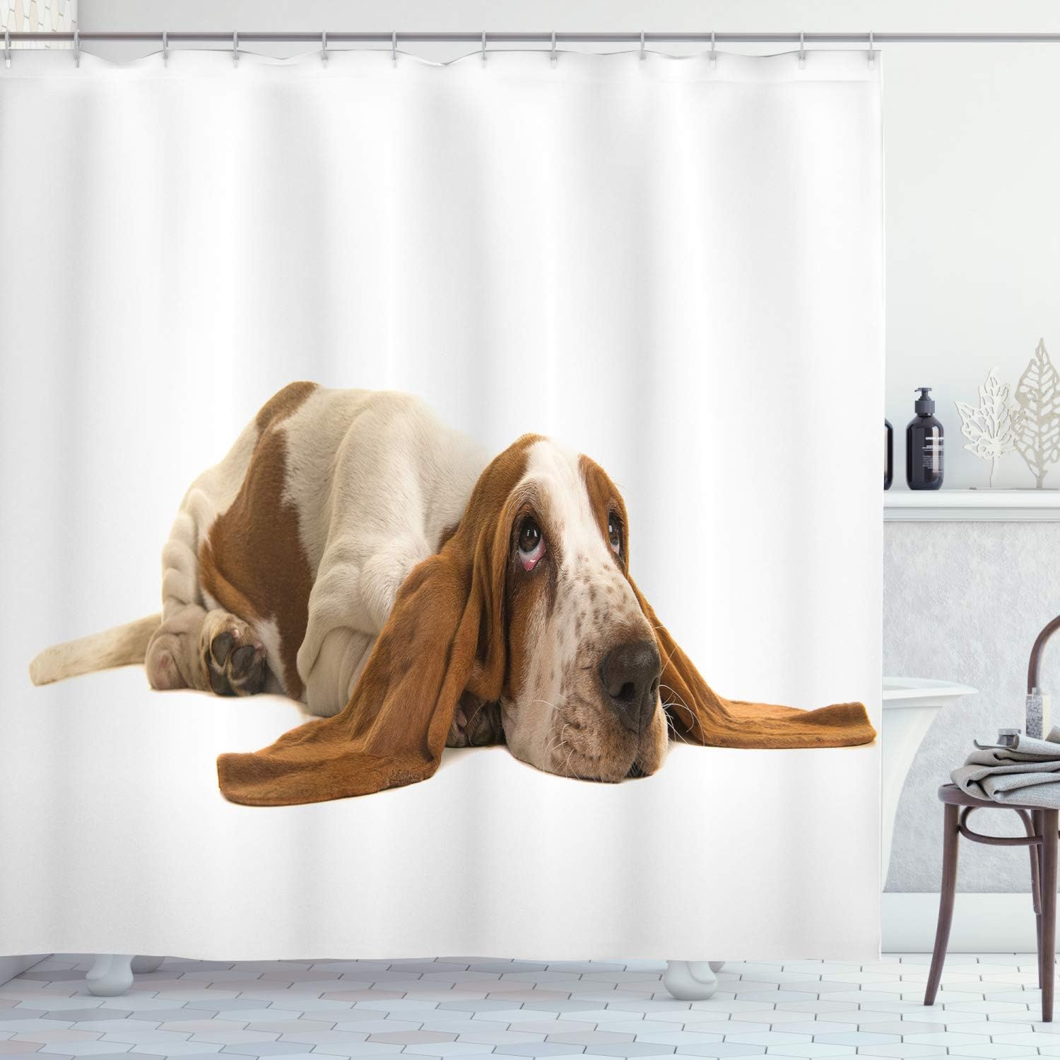 Ambesonne Basset Hound Shower Curtain, Long Eared Dog Lying Down on White Background, Cloth Fabric Bathroom Decor Set with Hooks, 69" W x 70" L, Caramel Mustard