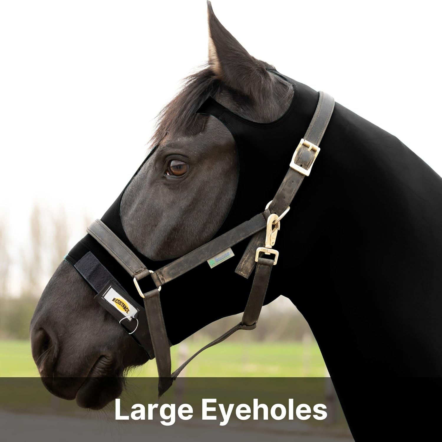 RESISTANCE Premium Horse Hood Pull On-Face with Forelock Saver - Horse Sleazy Slickers and Horse Care Sheet