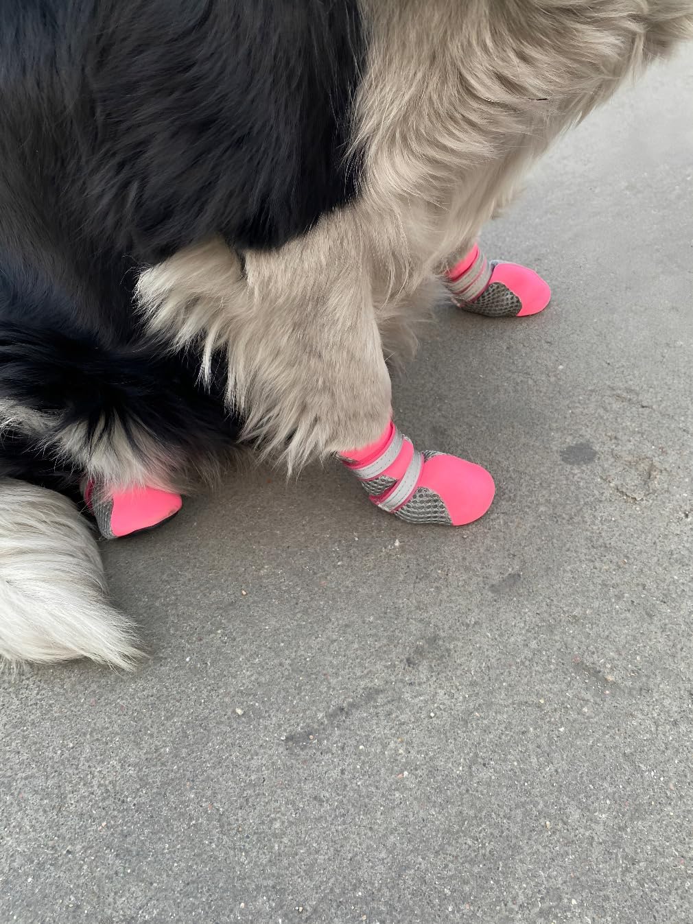 Paw Protector Dog Boots Breathable and Skid-proof with Reflective Straps Colour Pink Set of 4 Size XXS - Inner Sole Width 1.18 Inch