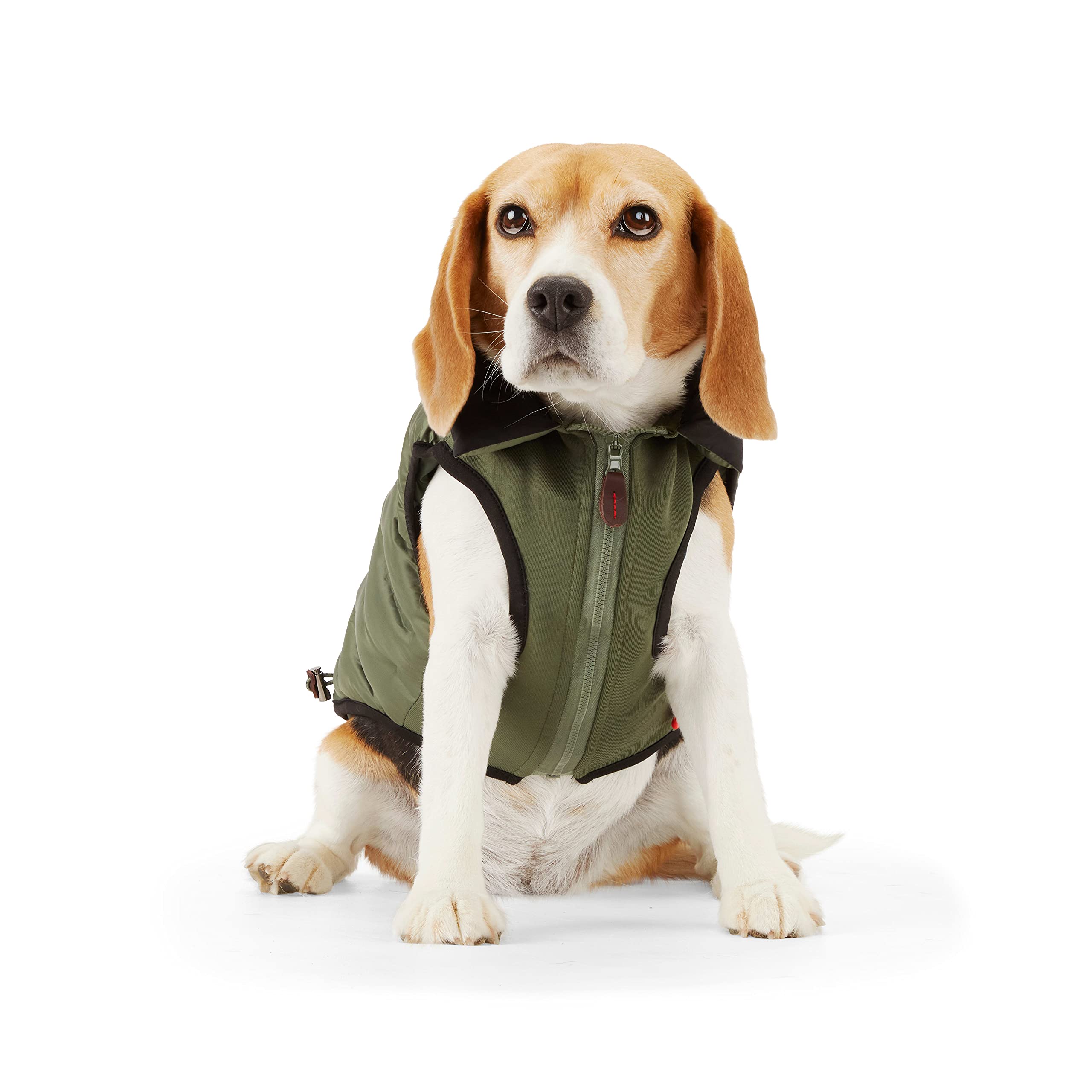 Petco Brand Reddy Olive Dog Puffer Vest Desertcart INDIA - Main Image