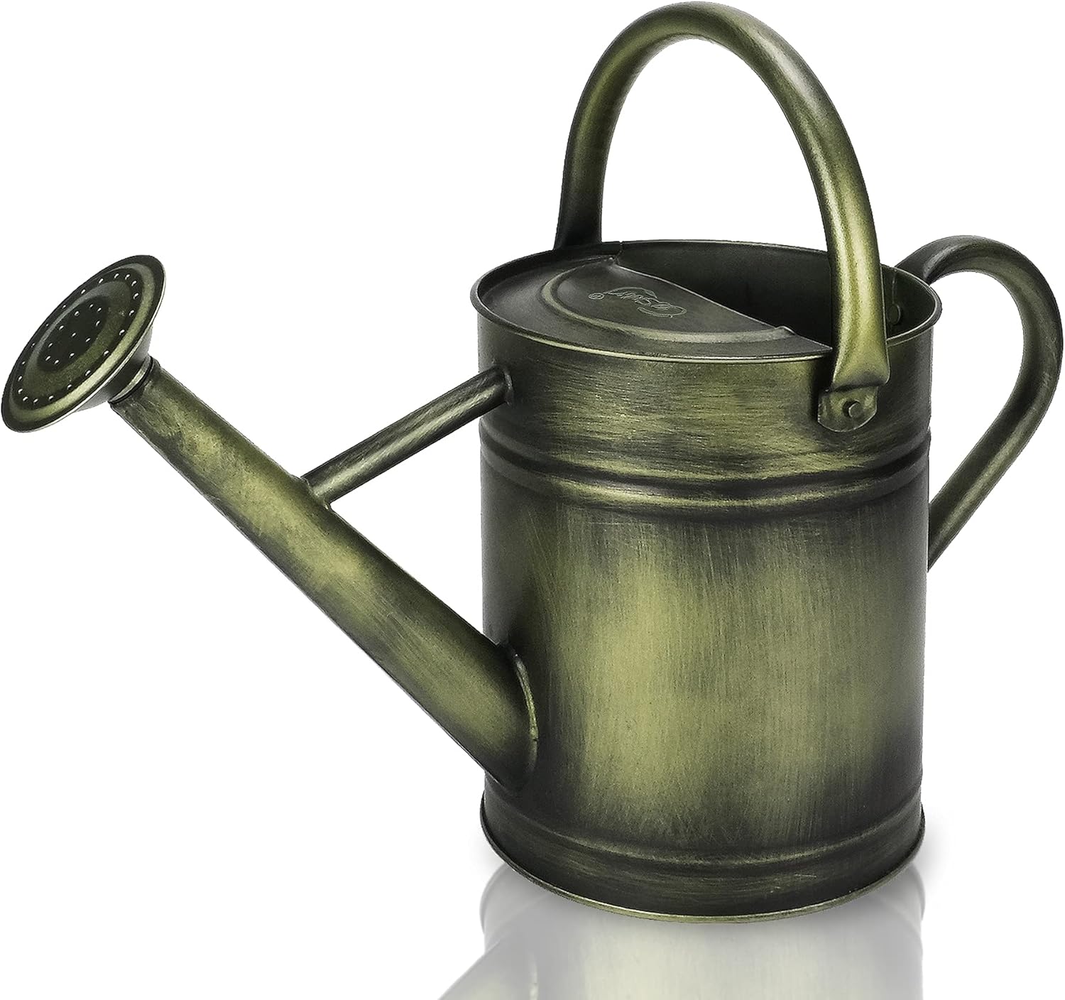 Cesun Metal Watering Can 1 Gallon for Outdoors Gardening, Galvanized Steel Watering Pot with Removable Spray Spout, Movable Upper Handle, Vintage Zinc