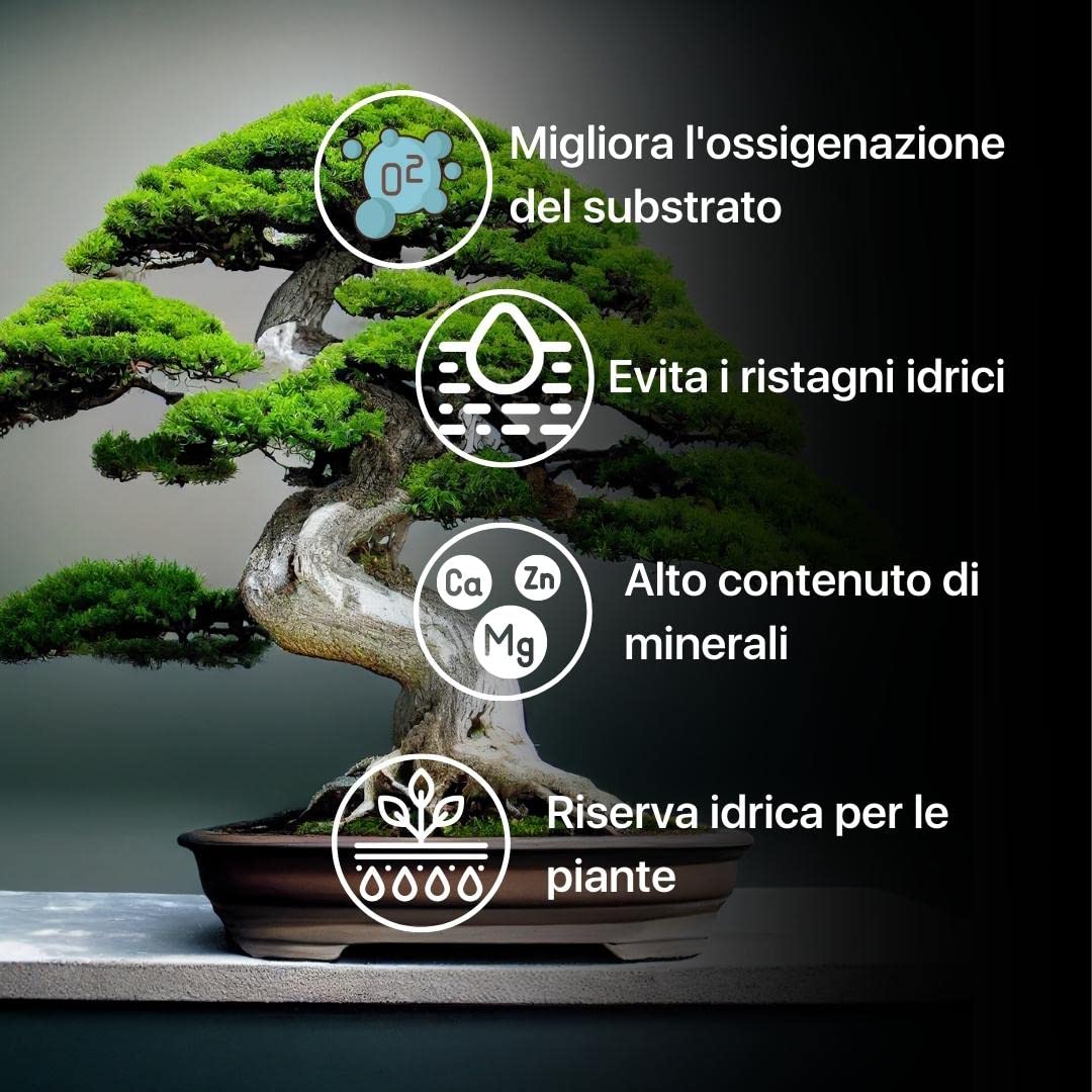 ZOMA Akadama dla profesjonalnego bonsai, ziarna 2-5 mm, japońska glina do bonsai i sukulentów twardych odmian, podłoże wulkaniczne, drenaż i przeciw stagnacji - 1,5 l