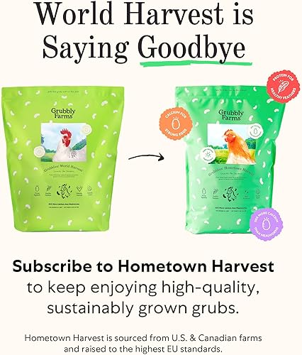 Miniatura 10 de Grubblies - Más saludable que los gusanos de harina para pollos - Suplemento de alimentación de pollo con 50 x calcio, larvas de mosca de soldado