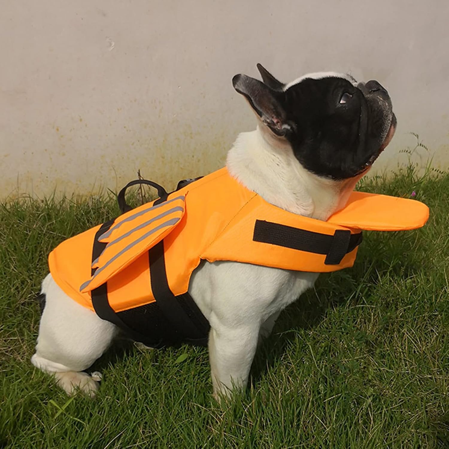 Dog Life Jacket with Fin, Dog Life Vest with Head Support, Dog Lifejacket with Reflective Strips Hook & Loop, Dog Float Coat for Small, Medium Large Dogs,Orange,M