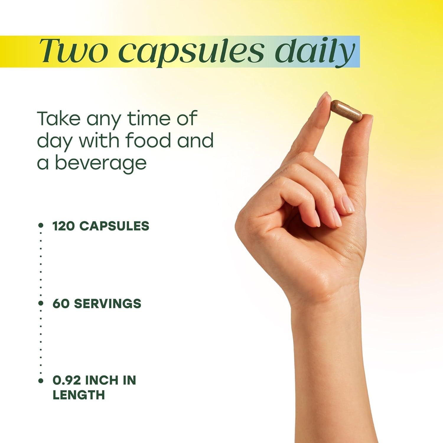 MegaFood Sea Moss Complex - Irish Sea Moss 7000mg Per Serving Plus Black Seed Oil, Burdock Root, Bladderwrack & Ashwagandha - Vegan Gut Health & Immune Support Supplement, 120 Capsules, 60 Servings