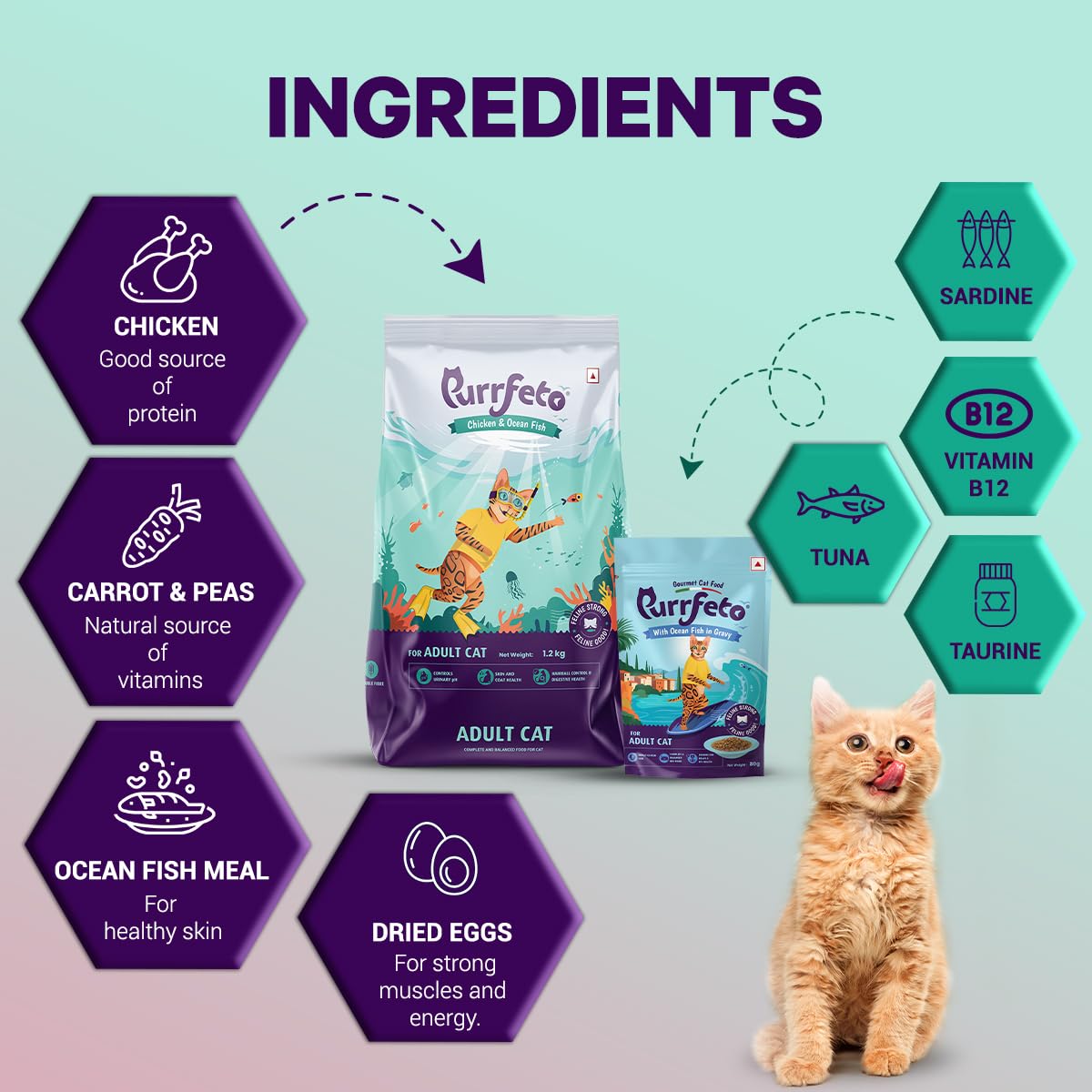 Purrfeto Adult Dry Cat Food, Chicken & Ocean Fish, 1.2 kg & Purrfeto Wet Cat Food with Ocean Fish in Gravy, Pack of 12
