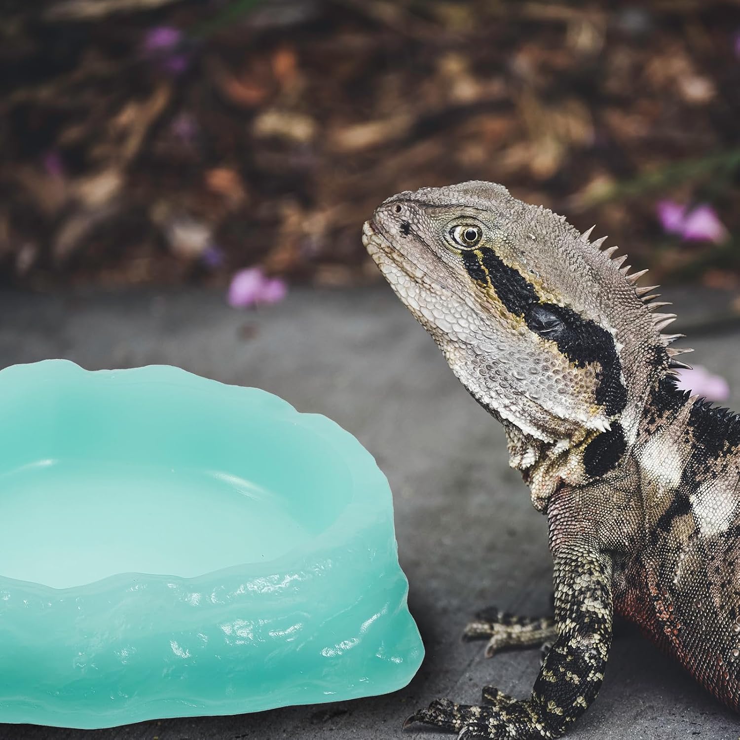 Luminous Reptile Water Dish and Feed Bowl Resin Terrarium Feeding Bowl Medium Size Glow in Dark for Turtles Lizards Geckos and Amphibians