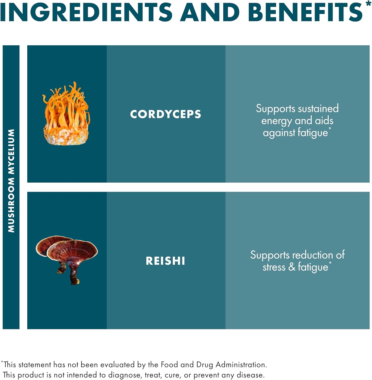 Host Defense CordyChi Powder - Energy & Immune Support Supplement - Cordyceps & Reishi Mushroom Supplement for Relaxation & Respiratory Support - Aids Against Tiredness - 3.5 oz (66 Servings)* - Image 6