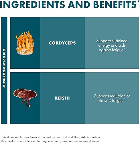 Miniatura 6 de Host Defense CordyChi Powder - Suplemento energético y de apoyo inmunológico - Suplemento Cordyceps y hongo Reishi para relajación y apoyo