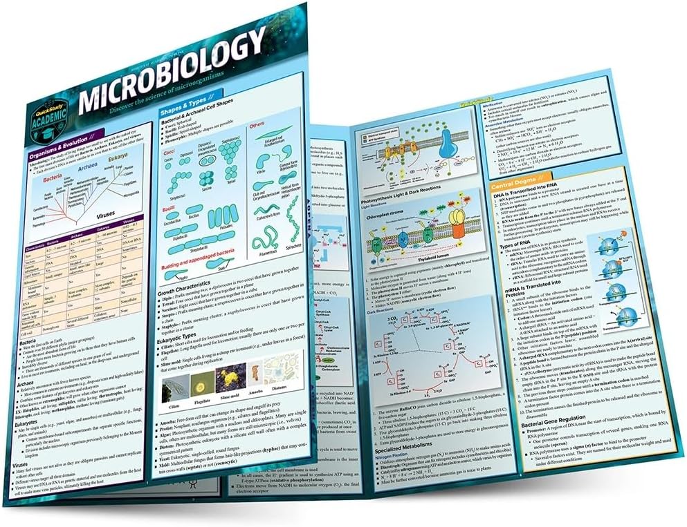 Microbiology: A Quickstudy Laminated 6-Page Reference Guide