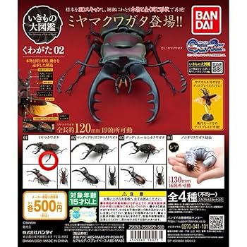 Amazon.co.jp: ミヤマクワガタ いきもの大図鑑くわがた02 生き物