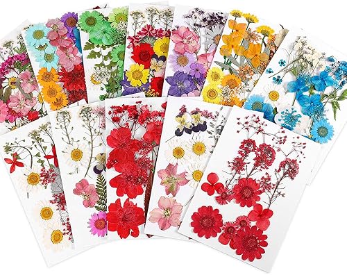 Miniatura 6 de Flores secas prensadas para resina, flores secas reales, kit de múltiples hojas de flores secas naturales para bricolaje, collar con colgante de