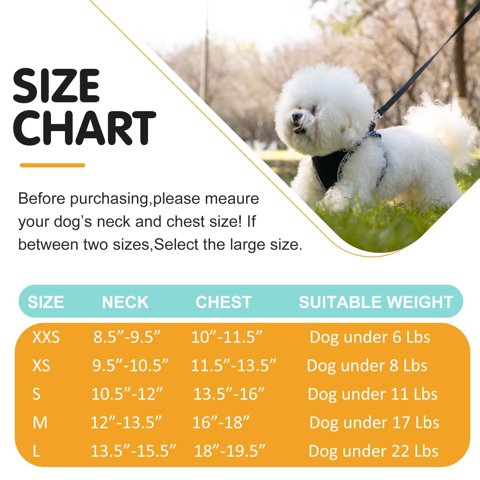 Dog Harness and Leash Set,Step-in Air Dog Vest, Reflective, No Pull Collarsfor Small, Medium Dogs, Cats - Image 4