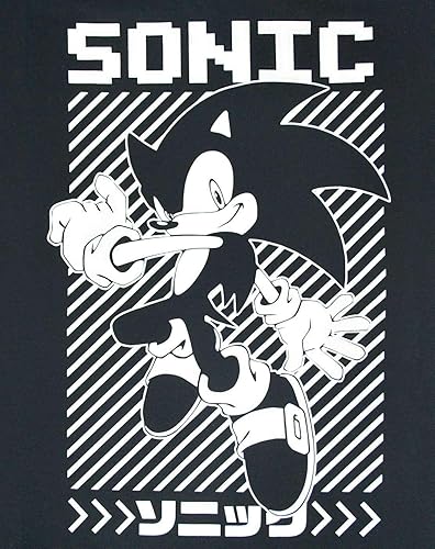 Miniatura 3 de Sonic The Hedgehog