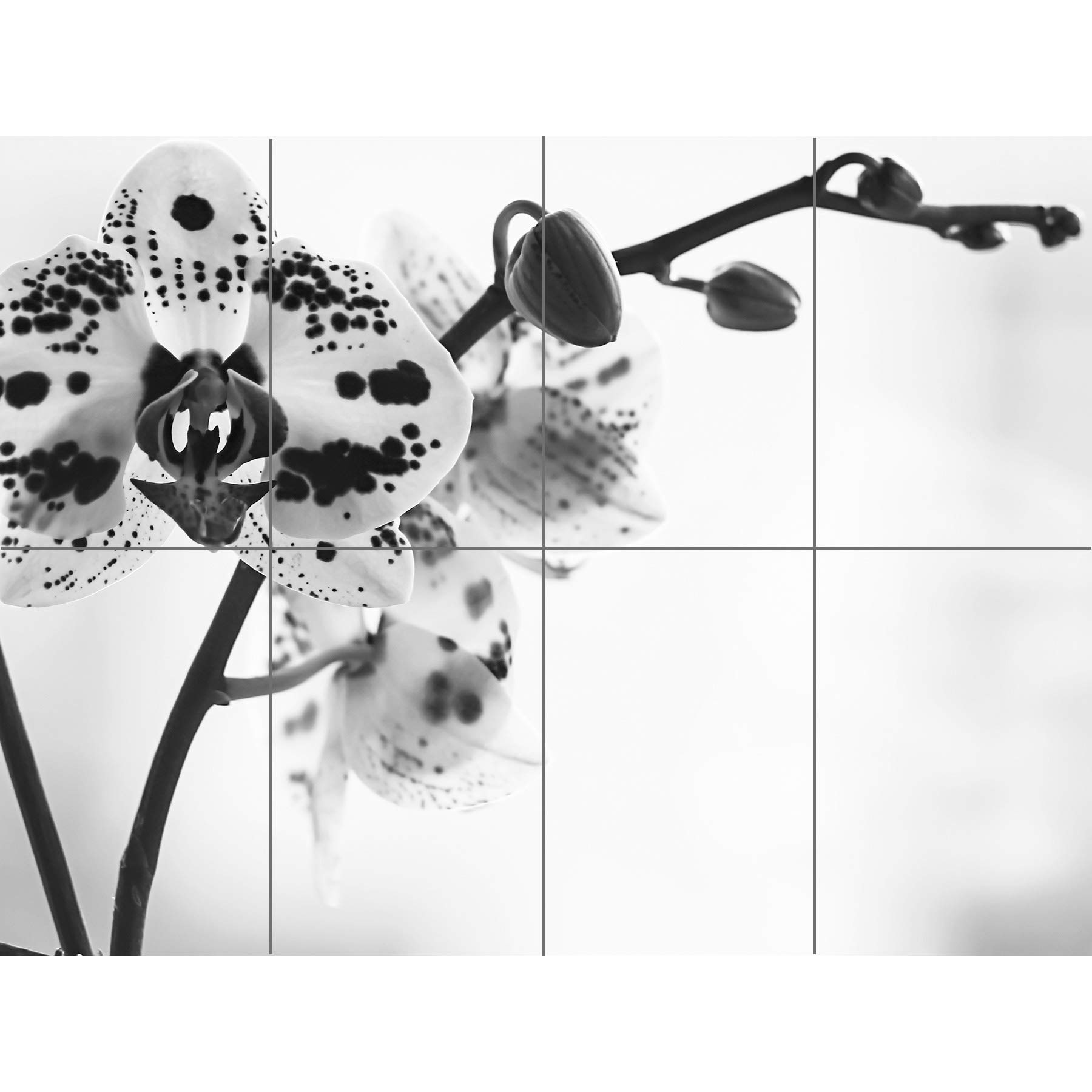 Artery8 Spotted Orchid Photograph XL Giant Panel Poster (8 Sections)