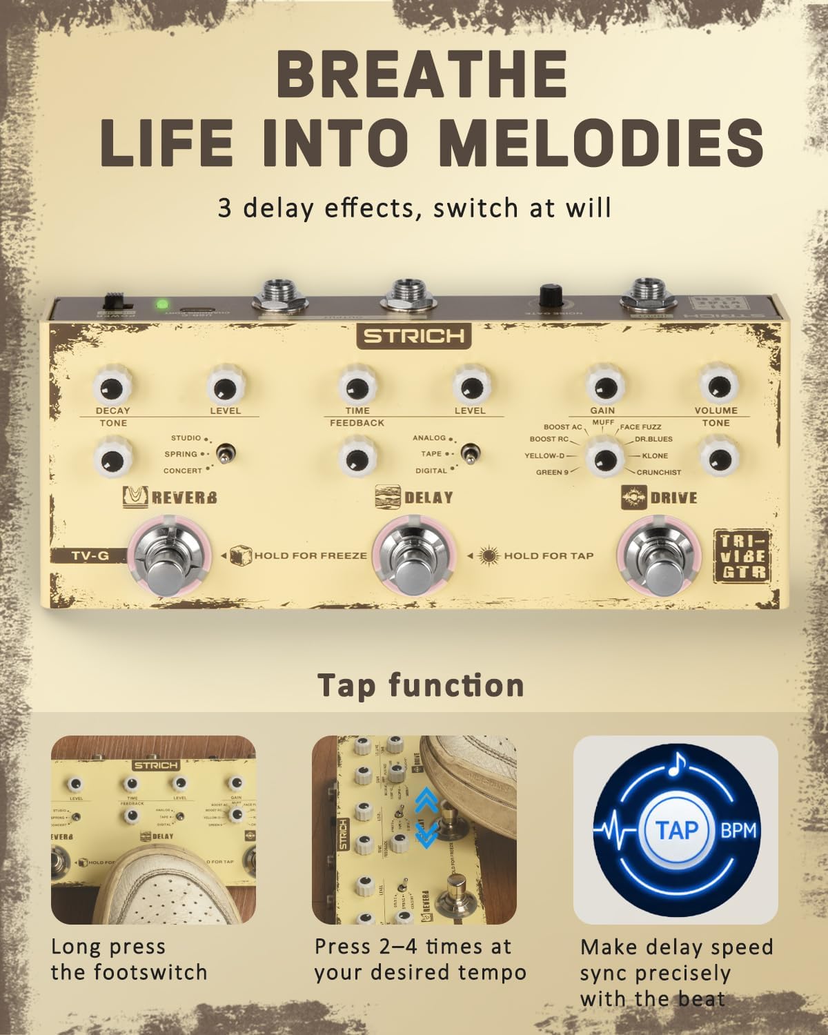Close-up of the Delay section controls on the STRICH TV-G pedal, showing Time, Feedback, Level, and delay type switch