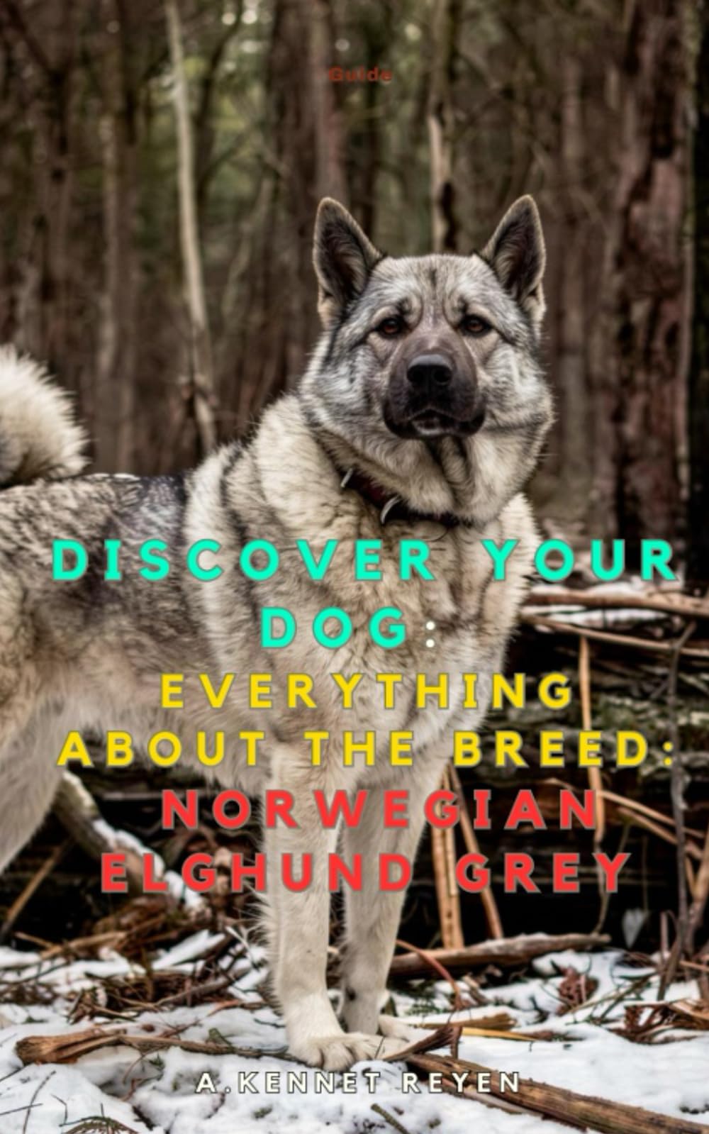 Discover your dog: Everything about the breed: Norwegian Elghund Grey