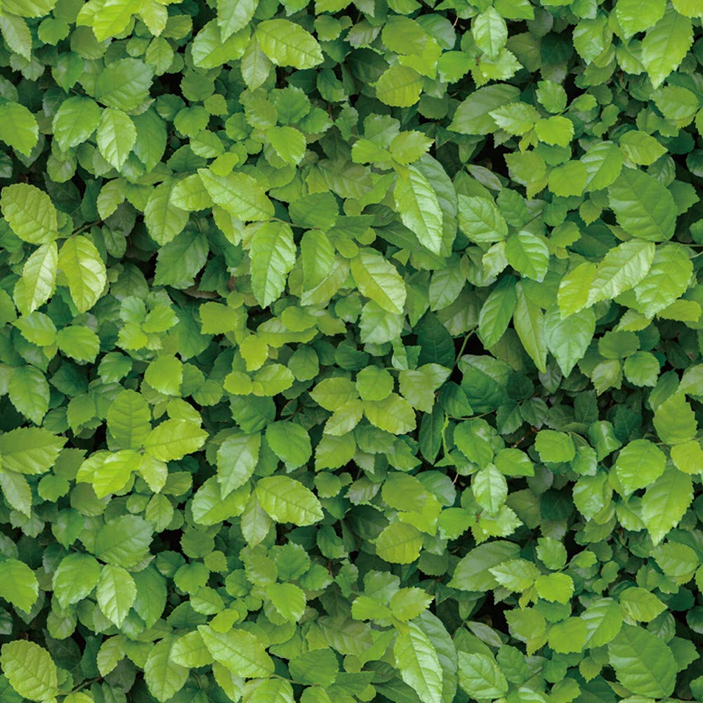 Meboom Green 3D Natural Leaves Wallpaper Self Adhesive Peel Stick Vinyl Film Furniture Cabinets Wardrobe Shelf Liner Sticker Waterproof,17.7Inch By 10.8Ft