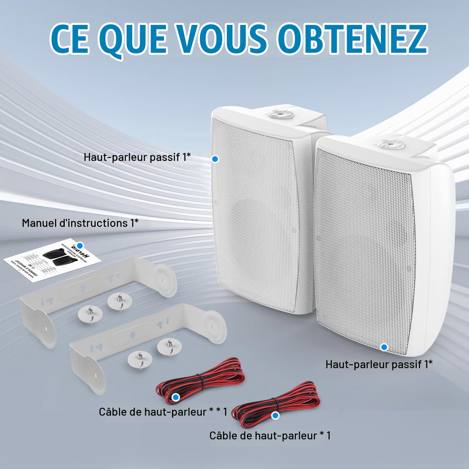 STUDIOFINIX Haut-parleurs d'extérieur passifs filaires, grande taille de montage mural (26,9 x 23,9 x 41,48 cm, 5,2 kg chacune), étanchéité IP44, toutes saisons, pour zones commerciales, arrière-cour