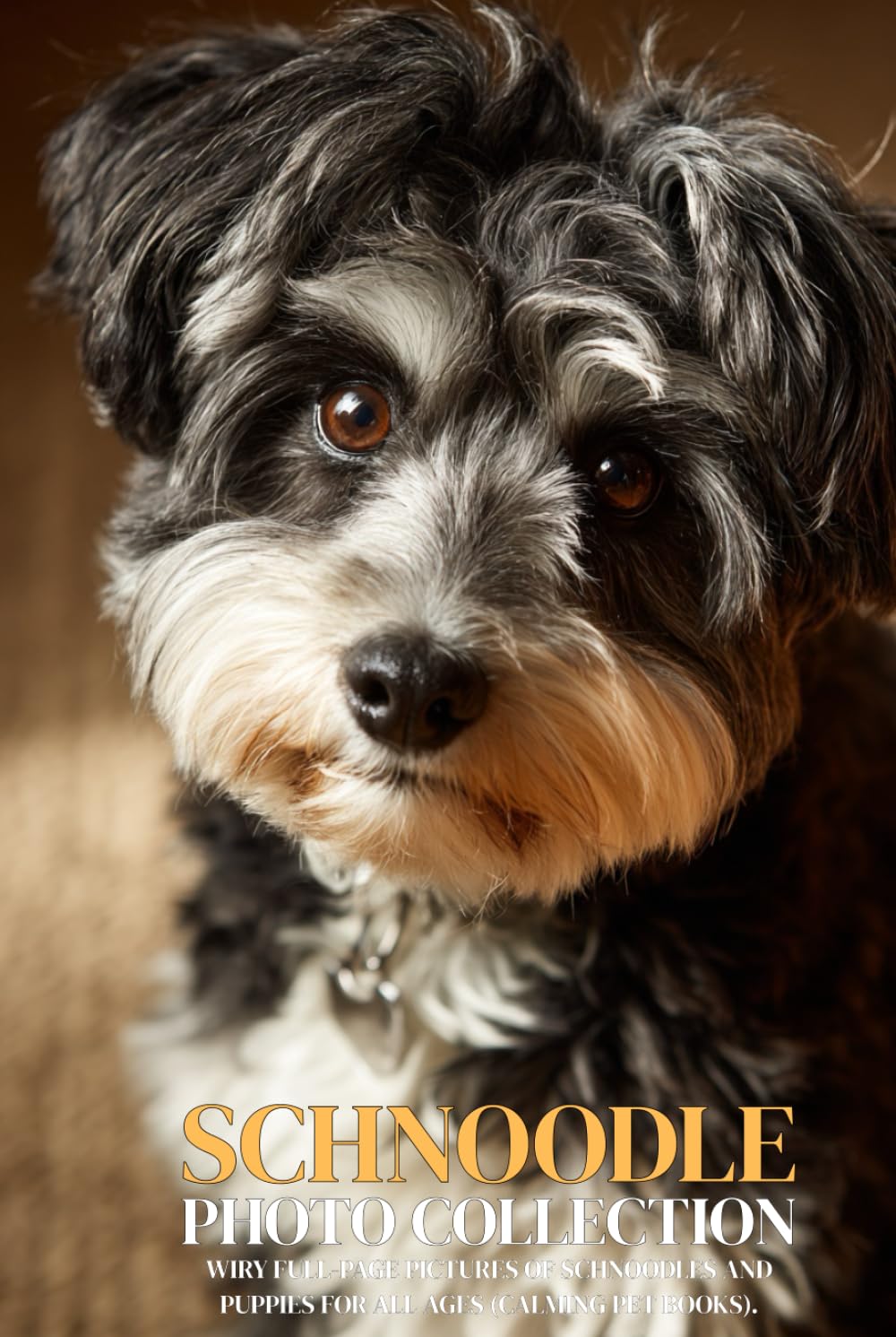 Schnoodle Photo Collection: Wiry Full-Page Pictures of Schnoodles and Puppies for All Ages (Calming Pet Books).