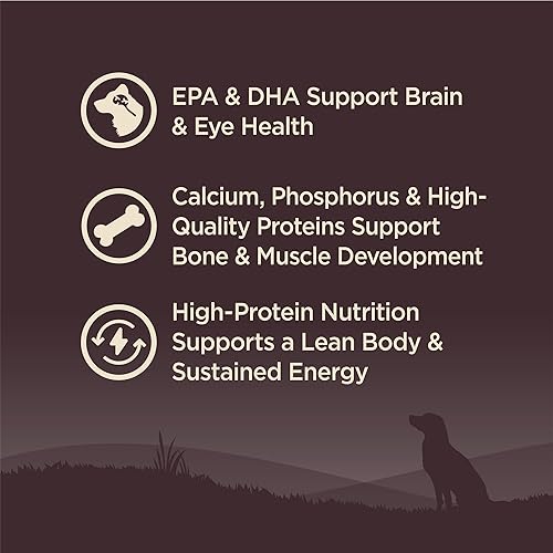 Vista 6 de Comida seca para perro sin granos Wellness Core Natural